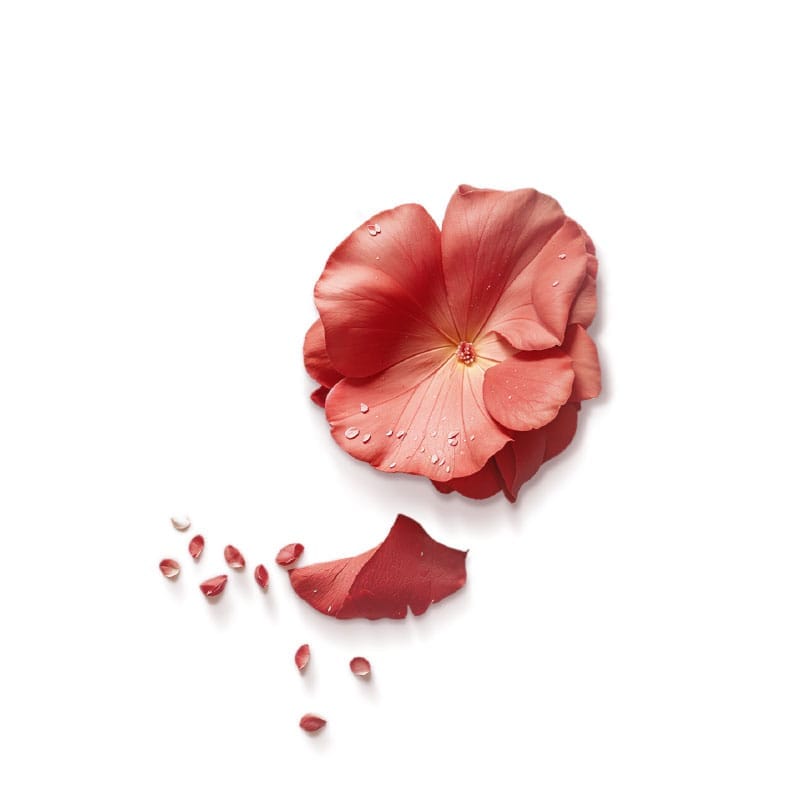 Floral-ilmin-parfums